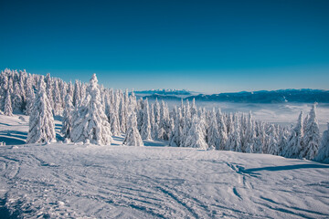 Winter in the mountains