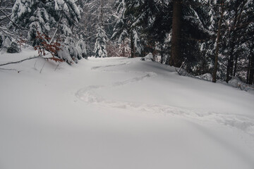 Winter in the mountains