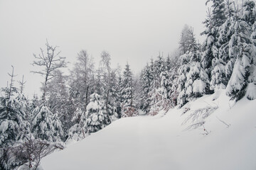 Winter in the mountains