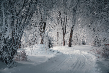 Winter in the mountains