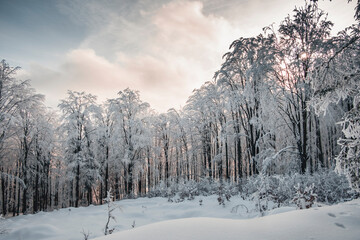 Winter in the mountains