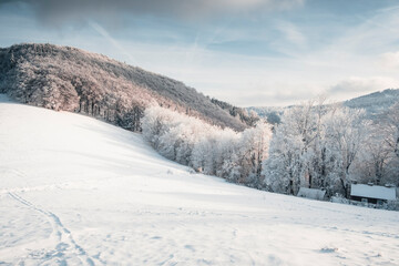 Winter in the mountains