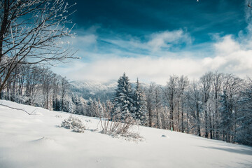 Winter in the mountains