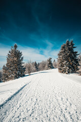 Winter in the mountains