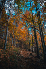 Autumn in the mountains