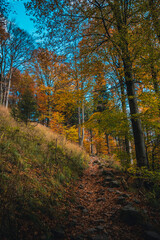 Autumn in the mountains