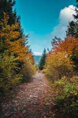 Autumn in the mountains