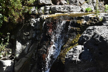Waterfall in the forest