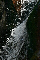 Waterfall in the forest