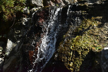 Waterfall in the forest