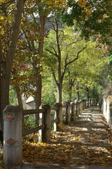 Weg am Schloss in Rudolstadt