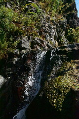 Waterfall in the forest