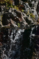 Waterfall in the forest
