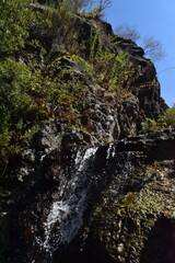 Waterfall in the forest
