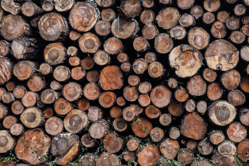 Stacked Timber Logs - Natural Wood Texture Background