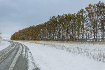 A snowy road with trees in the background