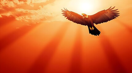 Obraz premium Majestic Eagle Soaring High Against a Dramatic Sunset Sky with Glorious Sun Rays and Vibrant Orange and Yellow Hue Casting a Warm Glow Over the Landscape