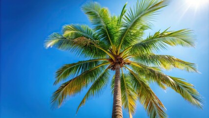 Close up of isolated palm trees with white sky in background captured from a low angle perspective