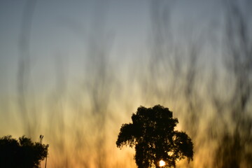 misty morning sunrise