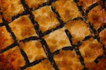Delicious homemade poppy seed and cheese squares forming a beautiful pattern