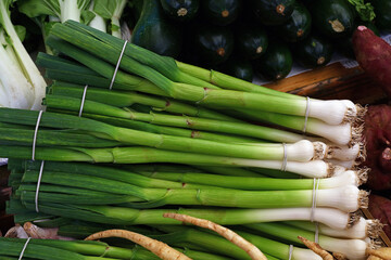 Heap of fresh green spring bunch onion