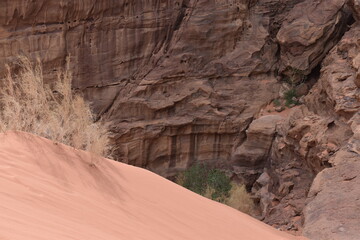 Wadi rum