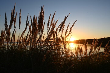 Abend am Stettiner Haff bei Kamminke