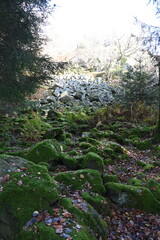 Bubenbader Stein in der Rhoen