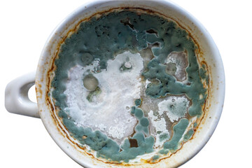 moldy green liquid in a mug. isolated on white