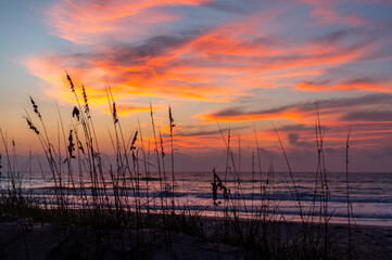 Painted Morning Sky Through Beach Grass