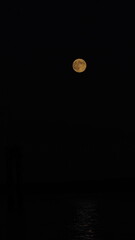 Vancouver Island, BC, Canada