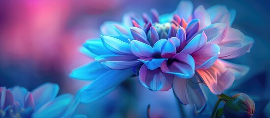 Beautiful And Focused Flower Great For Wallpaper