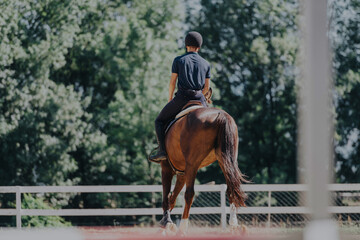 A skilled equestrian rider on a brown horse in a sunny outdoor paddock, emphasizing training and...