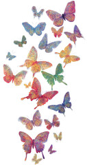 Colorful Watercolor Butterflies isolated on white background