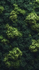 Lush Green Foliage Wall: A Symphony of Nature's Hues