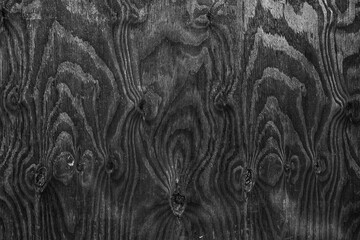 birch plywood surface  pattern textured background