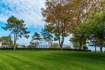 Obraz premium view of the city park with a green lawn and trees, against the panorama of Istanbul, Turkey