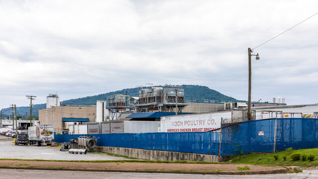 CHATTANOOGA, TN, USA-8 MAY 2021: Koch Poultry Co., Cappella St.