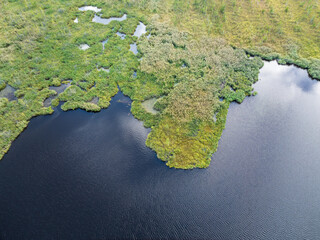 Aerial view of lake or river green shore with forest. Summer season. © Dmitrii Potashkin