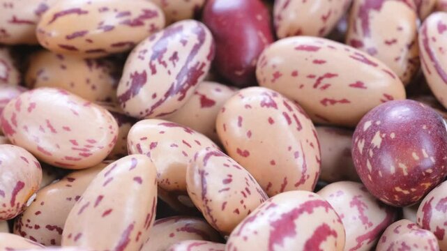 Overhead macro shot of dried uncooked speckled pinto kidney beans (barbunya), slider shot. Depth of field, selective focus. Cooking, legumes, healthy eating, food preparation concepts.