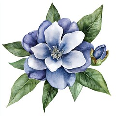 Fototapeta premium A beautifully detailed watercolor illustration of a blue flower with lush green leaves, perfect for decor. white background