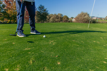 Obraz premium unrecognizable elderly golfer hitting the ball with the putter towards the hole on the green