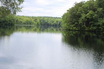 Fototapeta premium lake in the forest