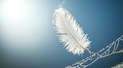 Obraz premium A delicate feather sways gently in a spiderweb under the bright blue sky during a sunny day