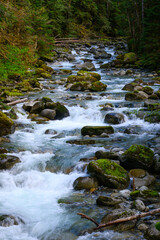 Wild river flowing over large boulders in Cascade Mountains of Pacific Northwest