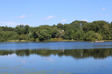 lake and trees