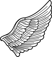 Bird wings outline vector