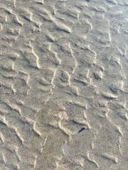 ripples in the sand