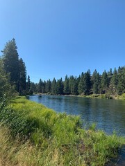Obraz premium Along the river