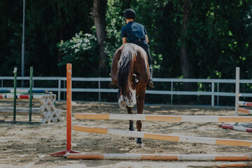 Equestrian sports enthusiast gracefully navigates a horse over a hurdle in a sunlit training arena....